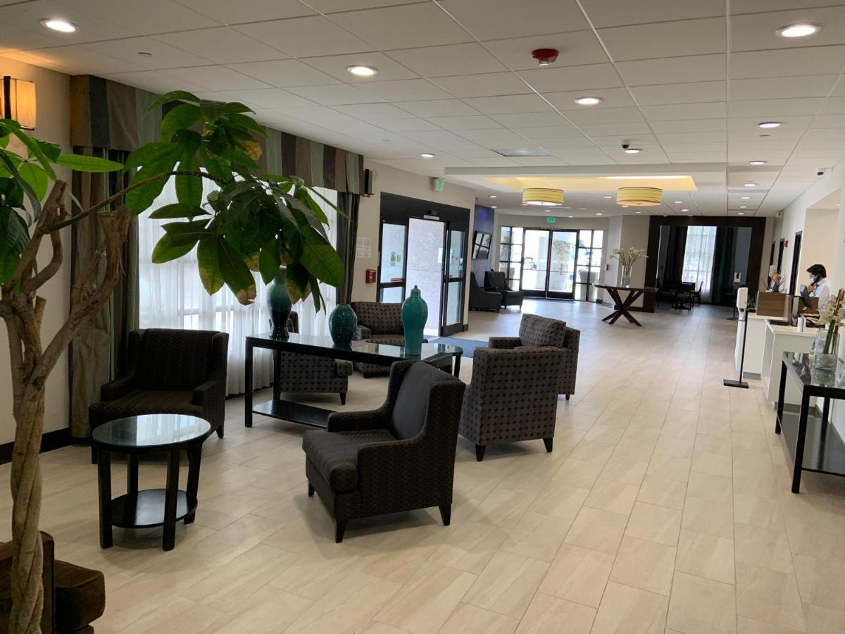 Holiday Inn Express Hotel & Suites Hermosa Beach By Ihg Dış mekan fotoğraf